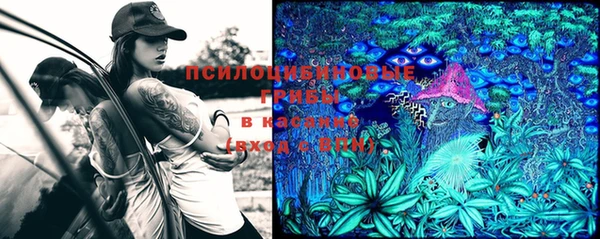 хмурый Ладушкин