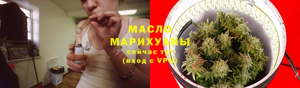 сатива Лабытнанги