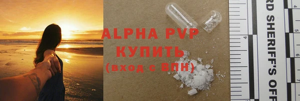 хмурый Ладушкин