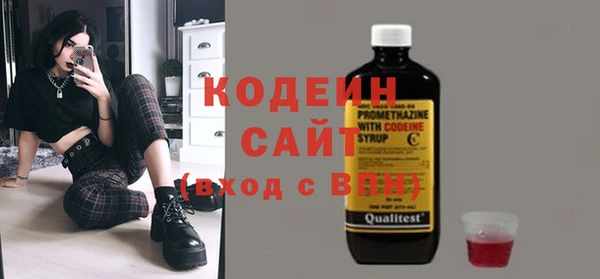 сатива Лабытнанги