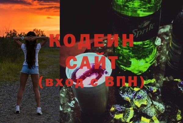 сатива Лабытнанги