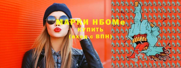 сатива Лабытнанги