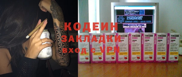 сатива Лабытнанги