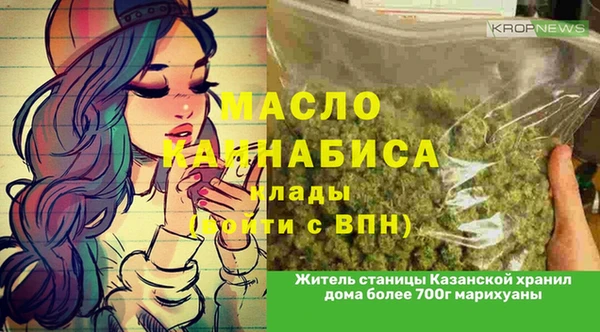 гидропоника Лагань